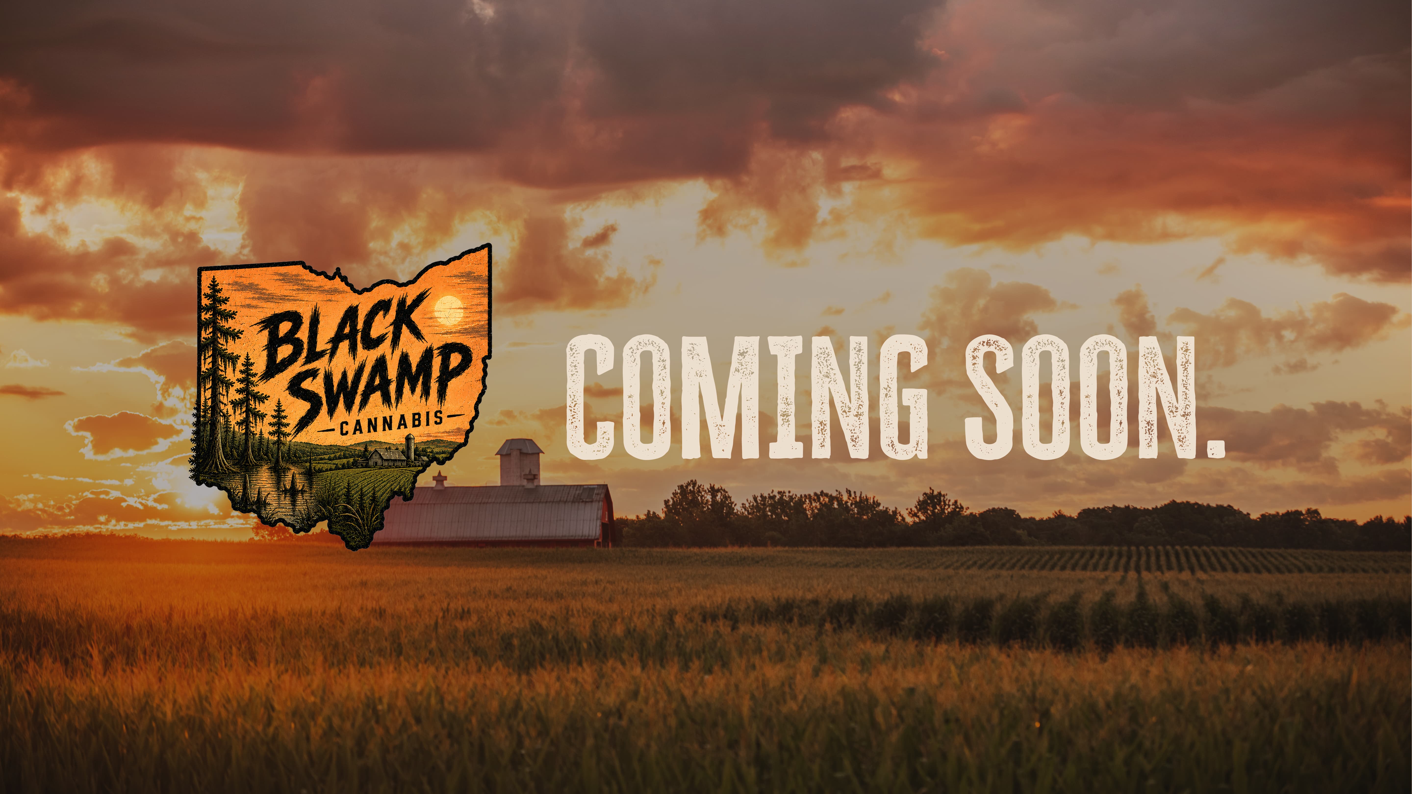 Black Swamp Cannabis Coming Soon